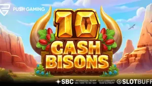 10 캐시 바이슨 [푸쉬게이밍]